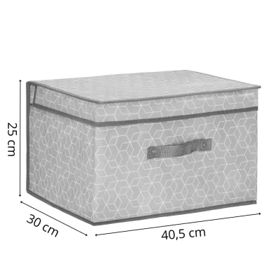 Úložný box 40x30x25 cm SPRINGOS HA0163 sivý