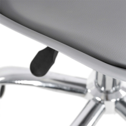 Detská stolička k písaciemu stolu SPRINGOS PAWS HF0041 sivá