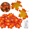LED reťaz Jesenné listy - 3m, 20LED, 3xAA, IP20, teplá biela