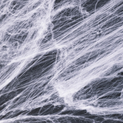 Pavučina s pavúkmi 60g SPRINGOS HALLOWEEN biela