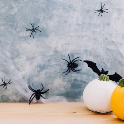 Pavučina s pavúkmi 20g SPRINGOS HALLOWEEN biela