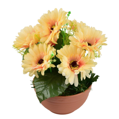 Gerbery v terakotovej miske 7 kvetov 22x24 cm