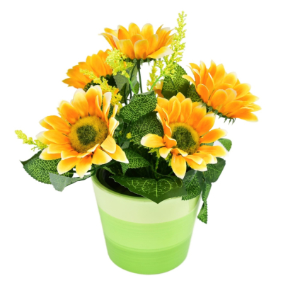 Slnečnica v kvetináči 7 kvetov 26x25 cm