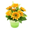 Slnečnica v kvetináči 7 kvetov 26x25 cm