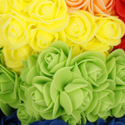 HA7394 MEDVEĎ S RUŽOU