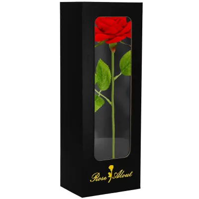 Večná ruža v darčekovom balení SPRINGOS HA7449 červená