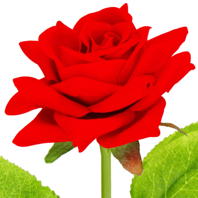 Večná ruža v darčekovom balení SPRINGOS HA7449 červená