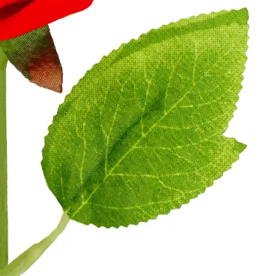 Večná ruža v darčekovom balení SPRINGOS HA7449 červená