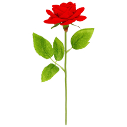 Večná ruža v darčekovom balení SPRINGOS HA7449 červená