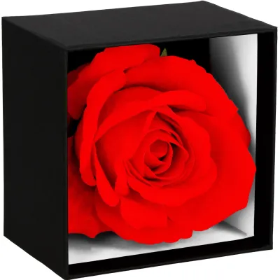 Večná ruža v darčekovom balení SPRINGOS HA7447 červená