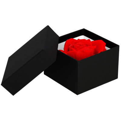 Večná ruža v darčekovom balení SPRINGOS HA7447 červená