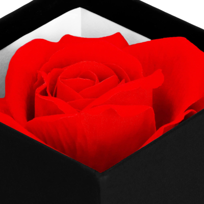 Večná ruža v darčekovom balení SPRINGOS HA7447 červená