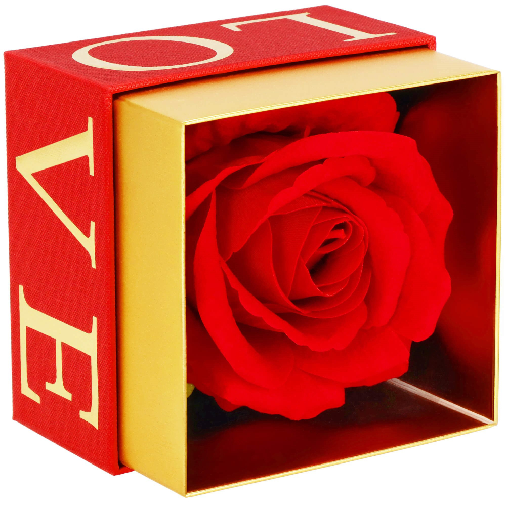Večná ruža v darčekovom balení SPRINGOS HA7448 červená