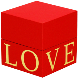 Večná ruža v darčekovom balení SPRINGOS HA7448 červená