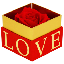 Večná ruža v darčekovom balení SPRINGOS HA7448 červená