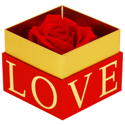 Večná ruža v darčekovom balení SPRINGOS HA7448 červená