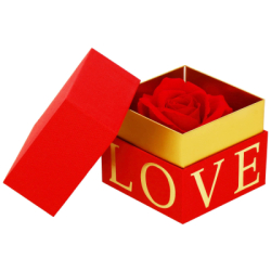 Večná ruža v darčekovom balení SPRINGOS HA7448 červená