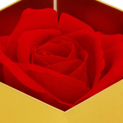 Večná ruža v darčekovom balení SPRINGOS HA7448 červená