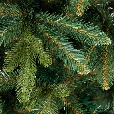 Vianočný stromček Smrek Royal sibírsky 240 cm