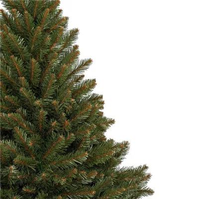 Vianočný stromček Smrek kaukazský 200 cm