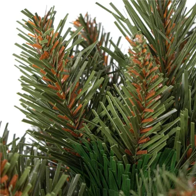 Vianočný stromček Smrek kaukazský 200 cm