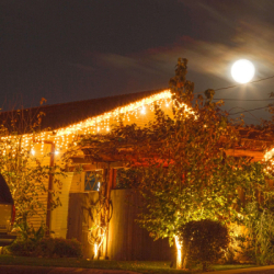 LED svetelný záves Cencúle - 22,5m, 500LED, IP44, duálna biela + záblesky