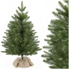 Vianočný stromček Smrek Premium kaukazský 60 cm