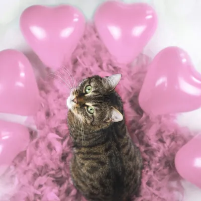 PS0051 SADA BALÓNOV SRDIEČEK 50 KS.