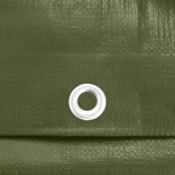 Krycia plachta s okami 4x5 m, 100g PE zelená SPRINGOS GA21824