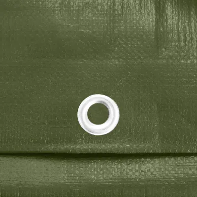 Krycia plachta s okami 4x5 m, 100g PE zelená SPRINGOS GA21824