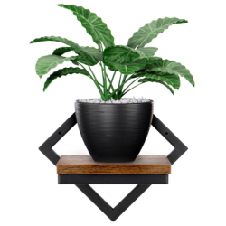 Polička na stenu SPRINGOS HF0050