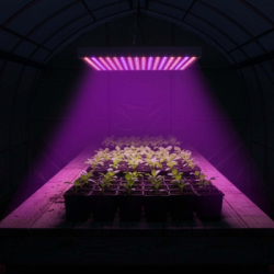 LED osvetlenie pre rastliny SPRINGOS GA0224