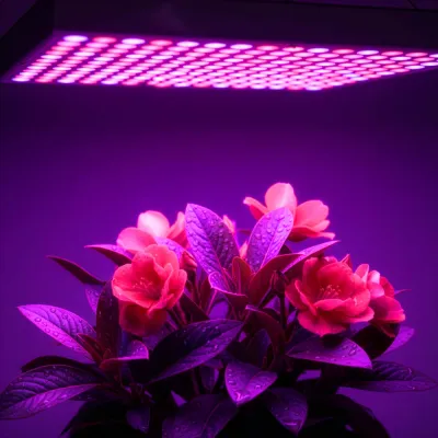 LED osvetlenie pre rastliny SPRINGOS GA0224