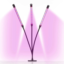 LED osvetlenie rastlín