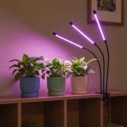 LED osvetlenie rastlín