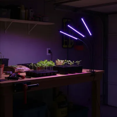 LED osvetlenie rastlín