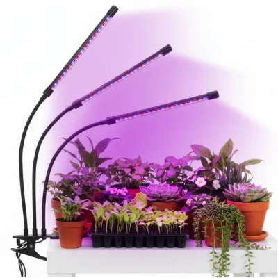 LED osvetlenie rastlín
