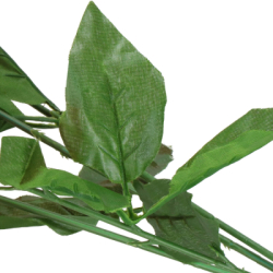 Vianočná hviezda kytica 50 cm červená