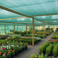Tieniaca tkanina 150cm x 50m, 65% zatienenie, zelená SPRINGOS SN0021