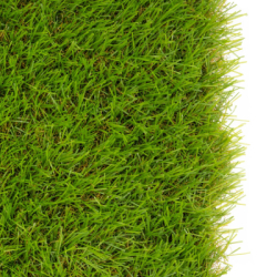 Umelý trávnik 30 mm, 2x5 m SPRINGOS GA0261