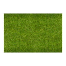 Umelý trávnik 30 mm, 2x5 m SPRINGOS GA0261