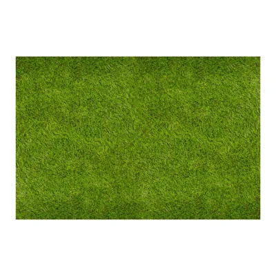 Umelý trávnik 30 mm, 2x5 m SPRINGOS GA0261