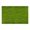 Umelý trávnik 30 mm, 2x5 m SPRINGOS GA0261