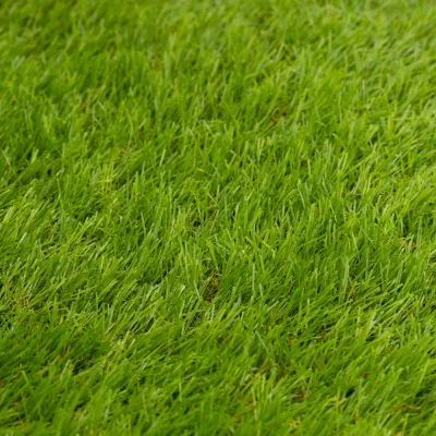Umelý trávnik 30 mm, 2x5 m SPRINGOS GA0261