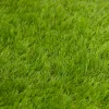 Umelý trávnik 30 mm, 2x5 m SPRINGOS GA0261