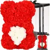 Medvedík z ruží 22 cm SPRINGOS ROSE BEAR HA7219 červený s bielym srdcom