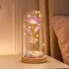 Večná ruža v skle s LED 22 cm SPRINGOS HA5159 viacfarebná