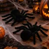 Halloweensky pavúk 2ks SPRINGOS HA5227 čierny