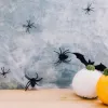 Pavučina s pavúkmi 20g SPRINGOS HALLOWEEN biela