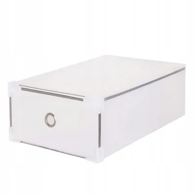 Úložný box na topánky 31x20,5x11 cm SPRINGOS HA3000 priehľadný